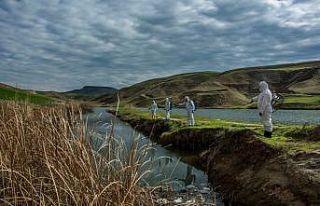 Batman’da karasinek ve sivrisinekle mücadele çalışmaları...