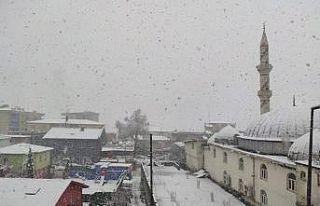 Batman’da okullara kar tatili