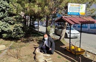 Bayat Belediyesi sokak hayvanlarını unutmadı