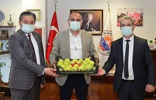 Bayramiç’in elmasının da, Gemlik’in zeytinin...