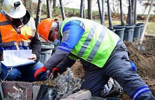 Becerilerini ispatladılar