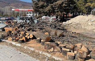 Belediye GES için yaşları 10-50 arasında değişen...