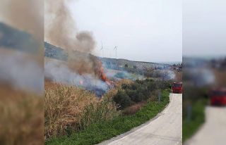 Belen’de otluk ve çalılık yangını
