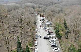 Belgrad Ormanı’nda aylar sonra piknik yoğunluğu