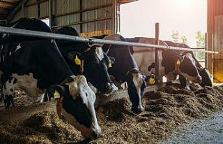 Besicilere uygulanan indirimli su tarifesinin kapsamı...