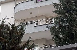 Beşinci kattan düşen kedisi kurtarıldı, göz...