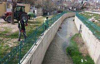 Besni’de haşere ile mücadele başladı