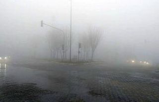 Besni’de sis etkili oldu