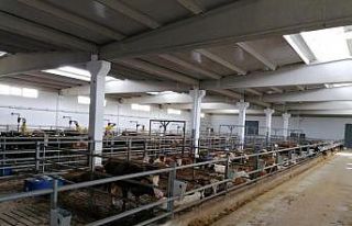 Beydeğirmeni Besi Bölgesi ilk misafirlerini ağırlamaya...