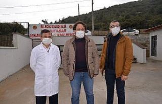 Bilecik Belediyesi Sokak Hayvanları Tedavi ve Rehabilitasyon...