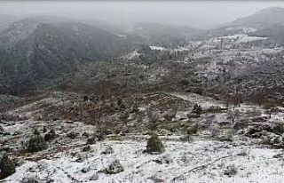 Bilecik beyaz örtü altına