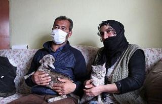 Bingöl’de içleri ısıtan görüntü, oğlağı...