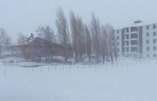 Bingöl’de kar ve tipi nedeniyle Karlıova’da...