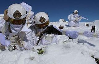 Bingöl’de terörün beli kırıldı,Eren-4 operasyonu...
