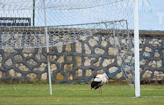 Binlerce kilometre geldi stadyuma kondu