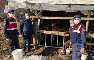 Bir aydır kayıp olan hayvanlarını jandarma drone...