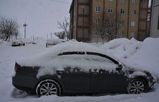 Bitlis’te 25 köy yolu ulaşıma kapandı