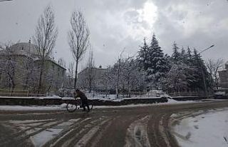 Bitlis’te 47 köy yolu ulaşıma kapandı