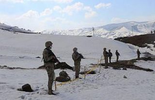 Bitlis’te geniş kapsamlı çığ tatbikatı