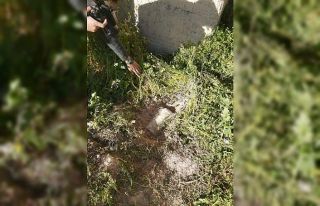 Bombalı eylem hazırlığında olan 4 PYD/YPG terörist...