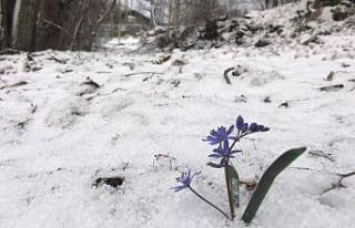 Bozdağ’da kar yağışı