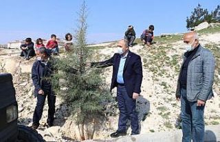 Bozova’da yeşillendirme seferberliği sürüyor