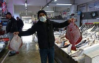 Bu balıklar seyirlik