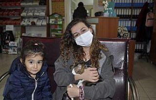 Bu da down sendromlu sevimli kedi