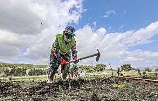 Buca’da ormanlık alana İzmirliler adına 500 fidan...