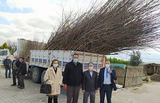 Burhaniye’de kadın çiftçiler organik arıcılık...