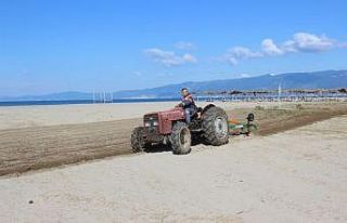 Burhaniye’de plajlar düzenleniyor