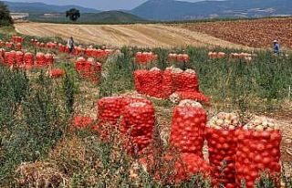 Bursa’da tarımda da atıklar sıfırlanıyor