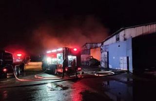 Bursa’daki karton fabrikası küle döndü