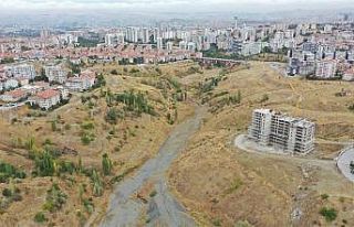 Büyükşehir’den daha yeşil bir Başkent için...