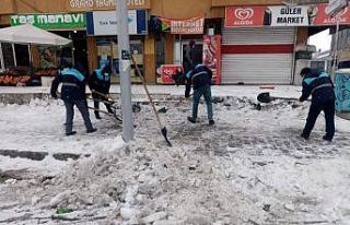 Çaldıran Belediyesinden kaldırım ve çatı temizliği