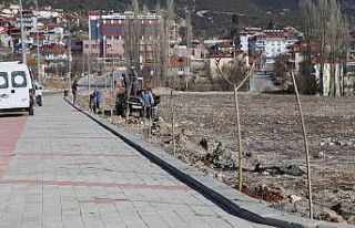Çameli Belediyesi yeşile 900 fidanlık katkı