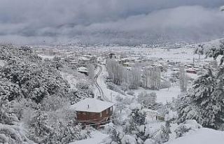 Çameli’de Mart kapıdan baktırdı