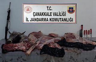 Çanakkale’de tüfekle vurdukları hayvanı çalan...