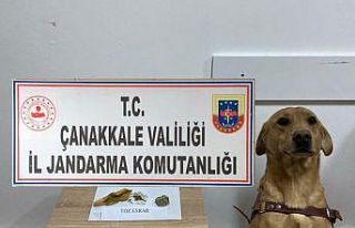 Çanakkale’de uyuşturucu operasyonu: 5 gözaltı