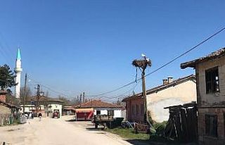 Çanakkale’ye yılın ilk leyleği geldi