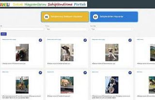 Çankaya Belediyesi “sokak hayvanlarını sahiplendirme...