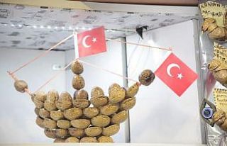 Ceviz kabukları geçim kaynağı oldu