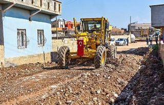 Ceylanpınar’da bahar hizmetti