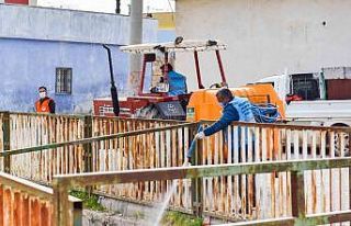 Ceylanpınar’da haşereler için ilaçlama çalışması