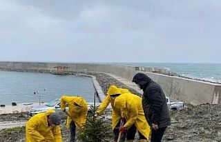 Cide’de fidanlar toprakla buluşturuldu