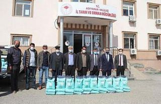 Çiftçilere yem bitkisi tohumu dağıtıldı