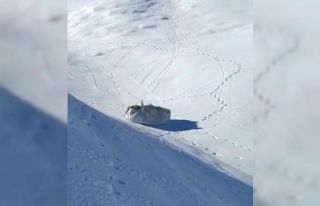 Çiftçilerin kış çilesi devam ediyor