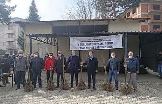 Çiftçiye bin 300 adet ücretsiz kestane fidanı