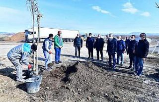 Çınar: “Daha yeşil, daha güzel bir Yeşilyurt...