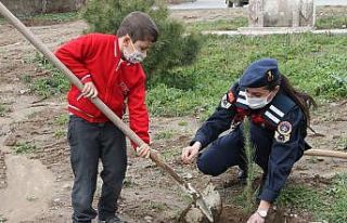 Çocuklar, jandarma ekipleriyle fidan dikti